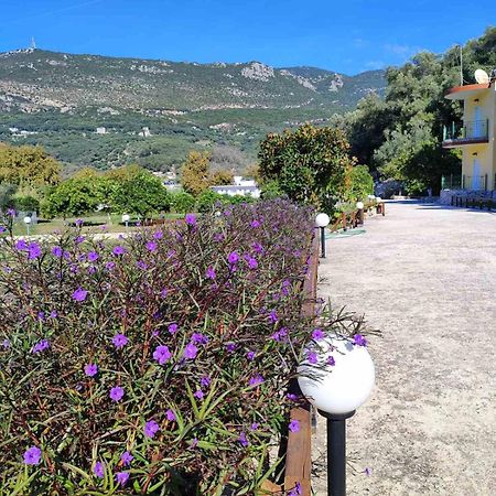 Villa Perkemes Apartments Parga Exterior foto